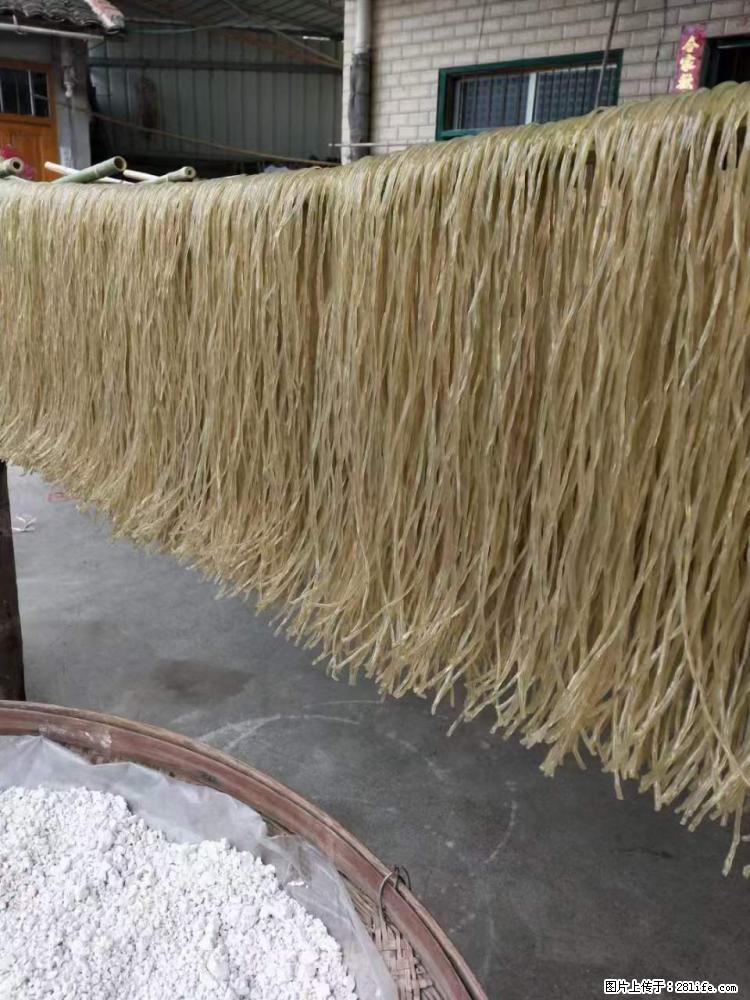 【灌阳正宗红薯粉】美女家里自己做的，干净卫生，假一赔十，价格合理，抢购电话：13737312895 - 美食天地 - 商丘生活社区 - 商丘28生活网 sq.28life.net