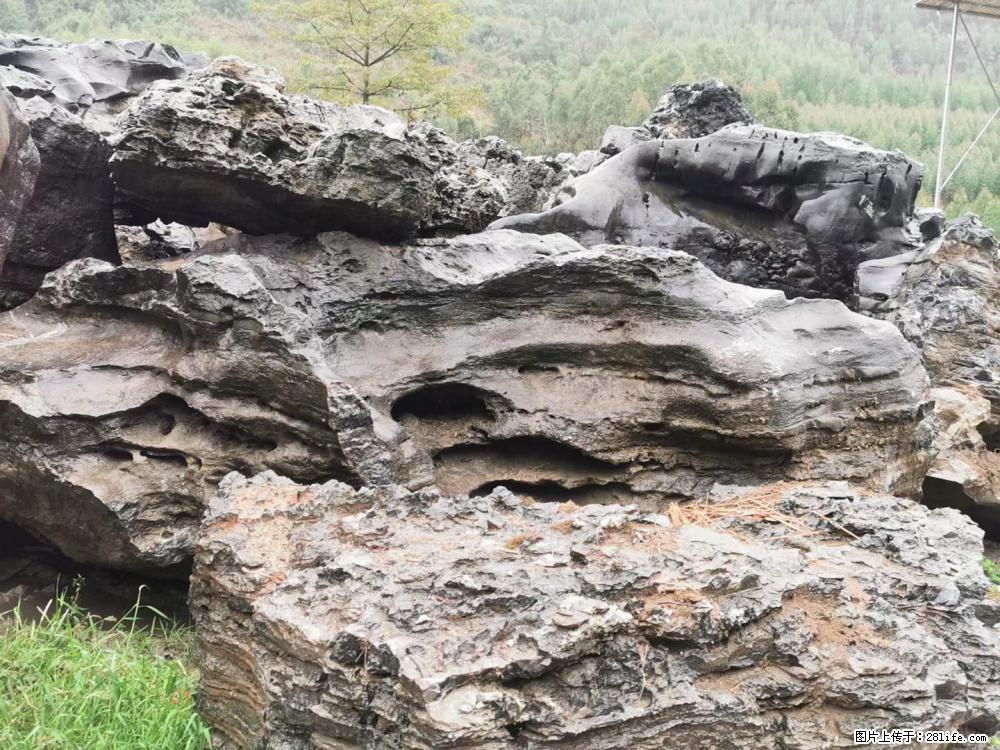 风景石、假山石大量有货，有需要的欢迎联系 - 新手上路 - 商丘生活社区 - 商丘28生活网 sq.28life.net