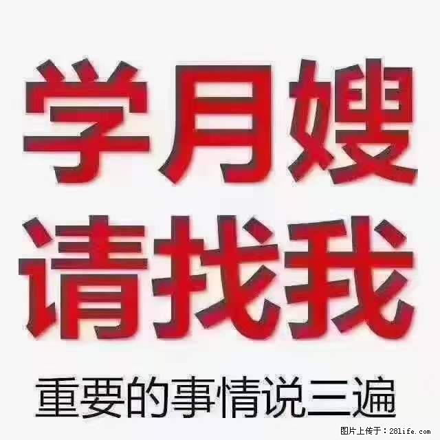 为什么要学习月嫂，育婴师？ - 其他广告 - 广告专区 - 商丘分类信息 - 商丘28生活网 sq.28life.net