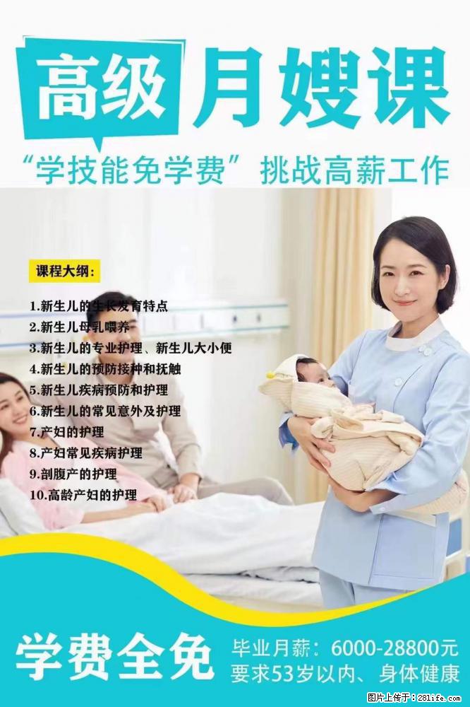 为什么要学习月嫂，育婴师？ - 其他广告 - 广告专区 - 商丘分类信息 - 商丘28生活网 sq.28life.net