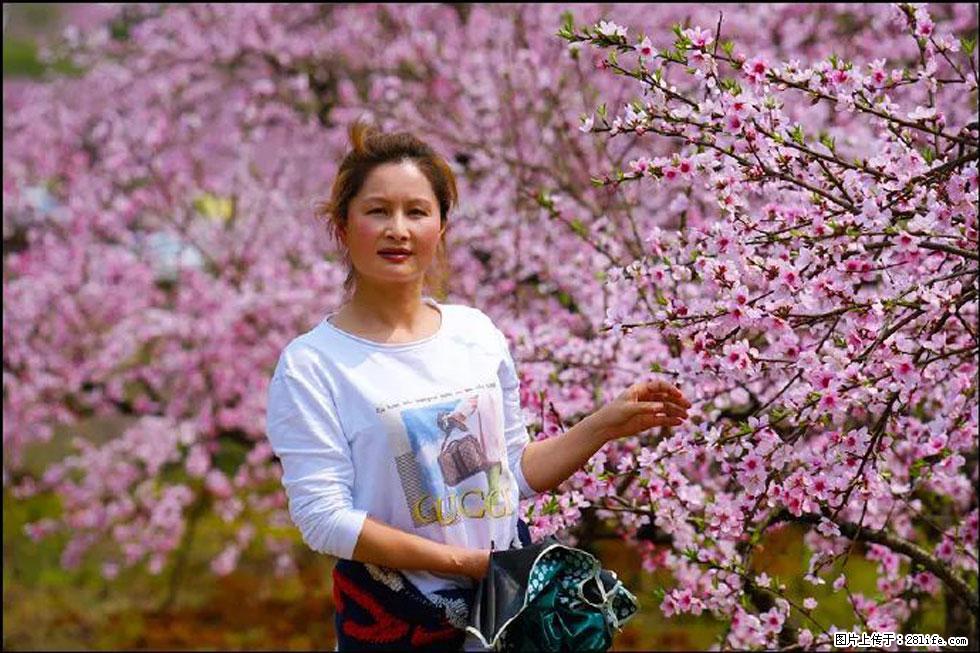【春天，广西桂林灌阳县向您发出邀请！】官庄村有个醉美的桃花园 - 游山玩水 - 商丘生活社区 - 商丘28生活网 sq.28life.net