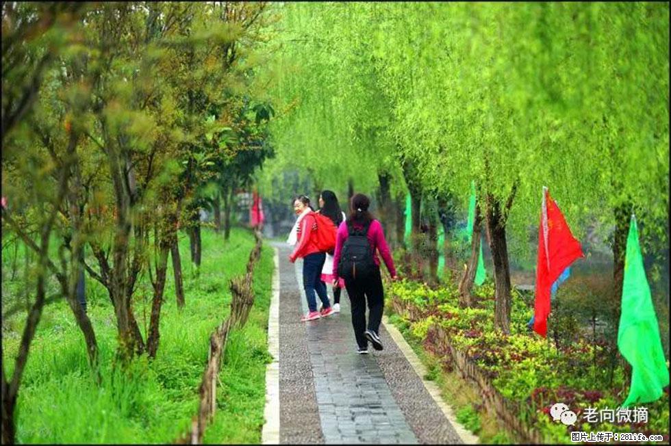 【春天，广西桂林灌阳县向您发出邀请！】江口老街又逢春 - 游山玩水 - 商丘生活社区 - 商丘28生活网 sq.28life.net