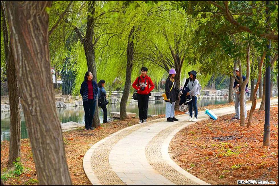 【春天，广西桂林灌阳县向您发出邀请！】江口老街又逢春 - 游山玩水 - 商丘生活社区 - 商丘28生活网 sq.28life.net
