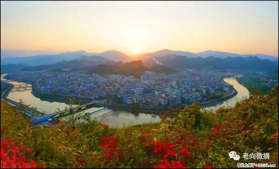 【春天，广西桂林灌阳县向您发出邀请！】登麒麟山，相约映山红 - 游山玩水 - 商丘生活社区 - 商丘28生活网 sq.28life.net