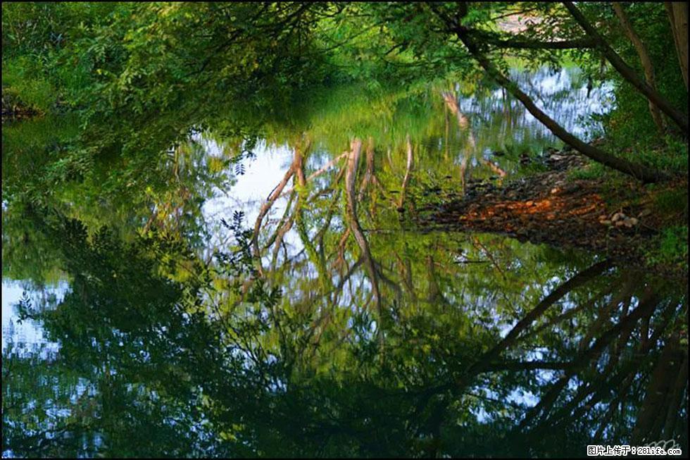 【春天,广西桂林灌阳县向您发出邀请!】熊家寨湿地公园 - 游山玩水 - 商丘生活社区 - 商丘28生活网 sq.28life.net