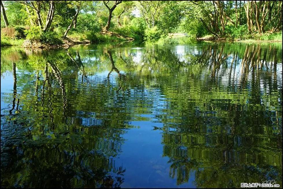 【春天,广西桂林灌阳县向您发出邀请!】熊家寨湿地公园 - 游山玩水 - 商丘生活社区 - 商丘28生活网 sq.28life.net