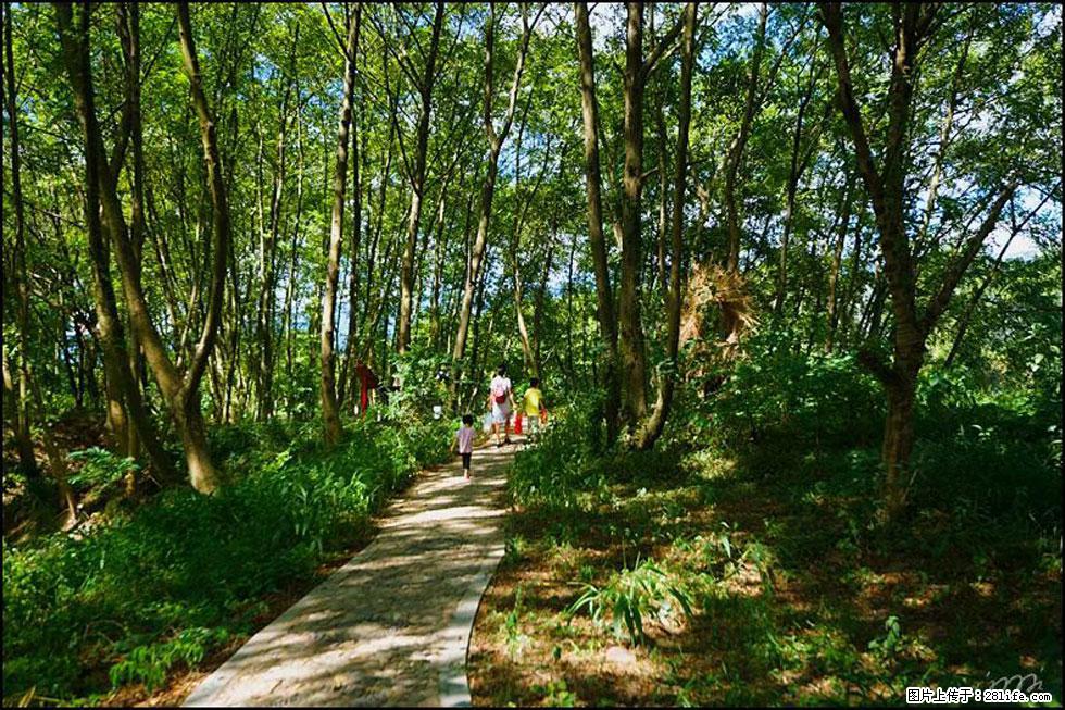 【春天,广西桂林灌阳县向您发出邀请!】熊家寨湿地公园 - 游山玩水 - 商丘生活社区 - 商丘28生活网 sq.28life.net