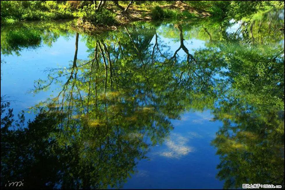 【春天,广西桂林灌阳县向您发出邀请!】熊家寨湿地公园 - 游山玩水 - 商丘生活社区 - 商丘28生活网 sq.28life.net