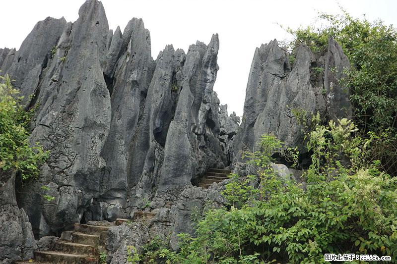 桂林旅游名城景点：灌阳文市石林 - 游山玩水 - 商丘生活社区 - 商丘28生活网 sq.28life.net
