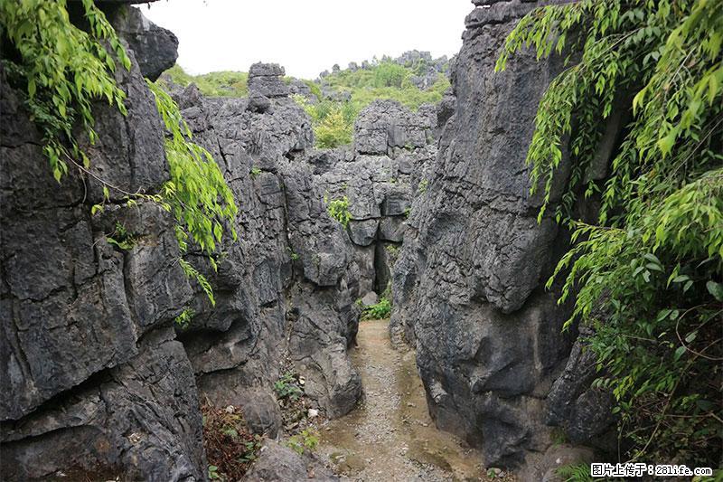桂林旅游名城景点：灌阳文市石林 - 游山玩水 - 商丘生活社区 - 商丘28生活网 sq.28life.net