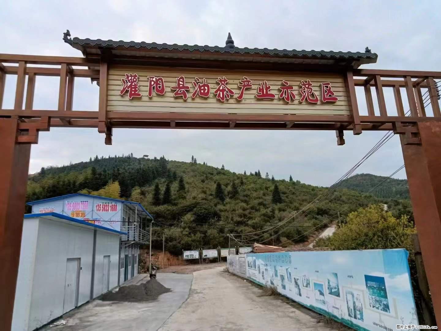 【灌阳县油茶产业示范区】一个有着充实的精神生活的人，对待身外之物自会有一种淡泊的态度 - 土特产 - 饮食特产 - 商丘分类信息 - 商丘28生活网 sq.28life.net