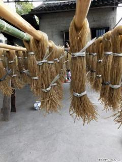 【灌阳正宗红薯粉】美女家里自己做的，干净卫生，假一赔十，价格合理，抢购电话：13737312895 - 商丘28生活网 sq.28life.net