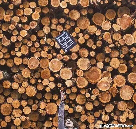 辞掉工作周游世界？现在他们在洗厕所…… - 游山玩水 - 商丘生活社区 - 商丘28生活网 sq.28life.net