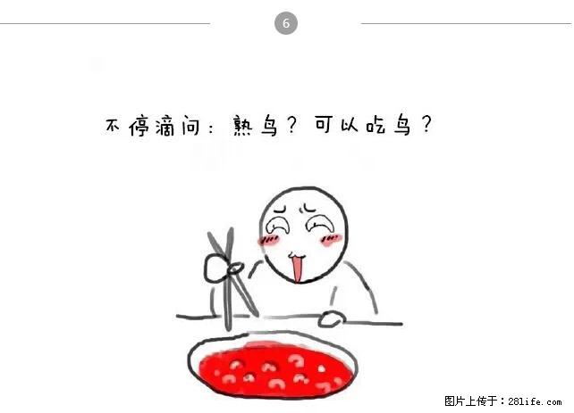 千万不要和这9种哈卵一起吃火锅! - 美食天地 - 商丘生活社区 - 商丘28生活网 sq.28life.net