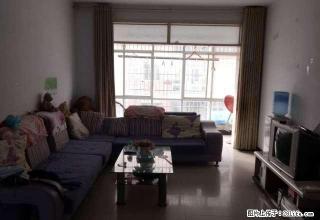 出租柘城县黄山北路新地港湾2室2厅中装家具家电齐全拎包入住。 - 商丘28生活网 sq.28life.net