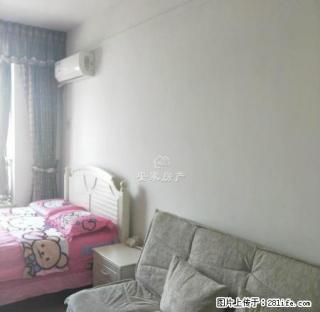 未来国际 精装1室 家电齐全 看房方便 干净舒适 - 商丘28生活网 sq.28life.net