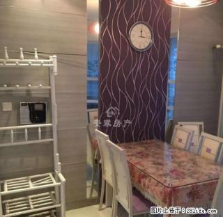 天明帝一城 精装3室 家电齐全 温馨舒适 电梯双气 业主实租 - 商丘28生活网 sq.28life.net