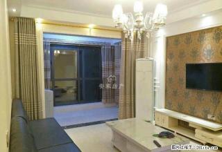 信华城 三室精装修 不新不要钱 拎包即住 随时看房 - 商丘28生活网 sq.28life.net