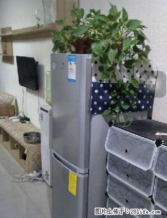 未来国际 一室 精装 1200每月 拎包即住 随时看房 - 房屋出租 - 房屋租售 - 商丘分类信息 - 商丘28生活网 sq.28life.net