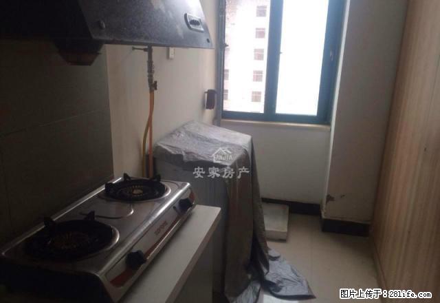 神火大道 未来国际 冬天里的绿洲 南户1室 拎包即住 - 房屋出租 - 房屋租售 - 商丘分类信息 - 商丘28生活网 sq.28life.net