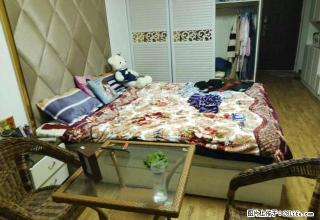 凯旋名都 精装修50平方 一室小户型 家电齐全 看房方便 - 商丘28生活网 sq.28life.net