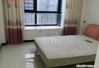北海小学 华夏路 华夏明珠 3室2厅1卫 拎包就住房东急租 - 商丘28生活网 sq.28life.net