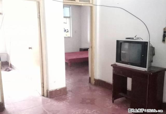 五一粮店楼上 南北通透 小三室 有配房 生活方便 - 房屋出租 - 房屋租售 - 商丘分类信息 - 商丘28生活网 sq.28life.net