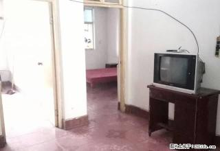 五一粮店楼上 南北通透 小三室 有配房 生活方便 - 商丘28生活网 sq.28life.net