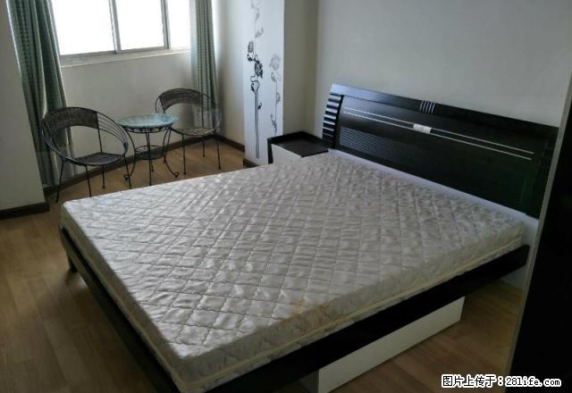 中环广场 电梯房 朝阳精装一居室 拎包即住 看房方便 - 房屋出租 - 房屋租售 - 商丘分类信息 - 商丘28生活网 sq.28life.net