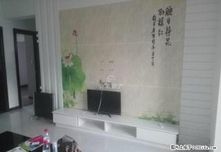 建业联盟新城 电梯双气大三室 精装修 随时看房 - 商丘28生活网 sq.28life.net