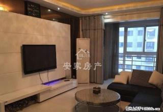 新城国际 商字附近 精装 精装修2室 拎包即住 - 商丘28生活网 sq.28life.net