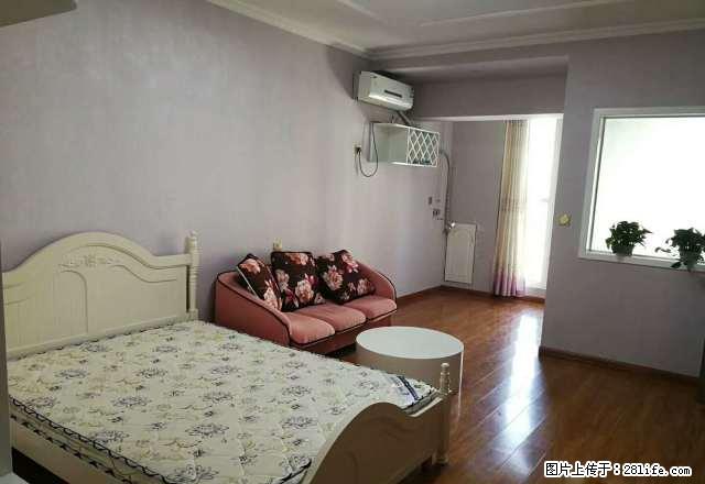 金博大西塔 温馨一室 家的感觉 仅此一套 手慢无 - 房屋出租 - 房屋租售 - 商丘分类信息 - 商丘28生活网 sq.28life.net