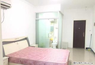 园中园1室1厅 纯南户 50平 家电齐全拎包入住 看房有钥匙 - 商丘28生活网 sq.28life.net