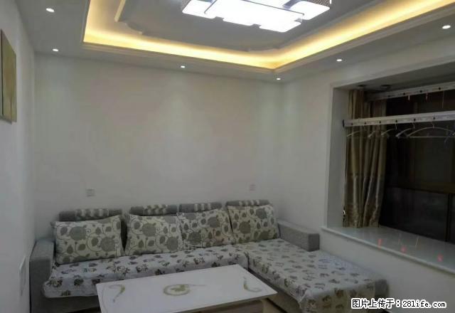 苏州花园 精装一室一厅 拎包入住 免网费 - 房屋出租 - 房屋租售 - 商丘分类信息 - 商丘28生活网 sq.28life.net