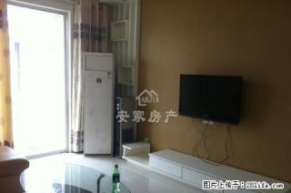 帝和B区精装3室电梯双气拎包入住随时看房采光无敌价格便宜急租 - 商丘28生活网 sq.28life.net