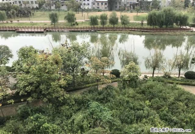 帝和水上公园D区 精装三室家具家电齐全拎包即可入住 业主急租 - 房屋出租 - 房屋租售 - 商丘分类信息 - 商丘28生活网 sq.28life.net