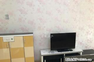 帝和水上公园精装一室家具家电齐全拎包即可入住有地暖和无线网 - 商丘28生活网 sq.28life.net