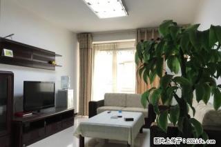 金世纪附近帝和水上公园新出精装三室家具家电齐全拎包即可入住！ - 商丘28生活网 sq.28life.net