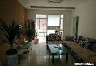 盛大世纪名城 大三室两厅全新精装双气房屋领包即住 急 - 商丘28生活网 sq.28life.net