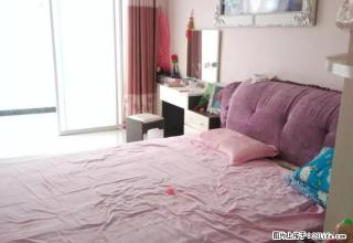 金世纪广场附近 精装3室 拎包入住 环境优美 - 商丘28生活网 sq.28life.net