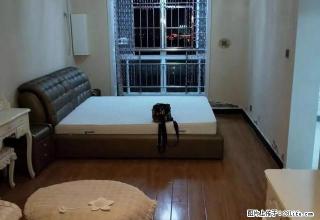 龙翔公寓标准一室一厅房屋出租！真实图片！随时看房。 - 商丘28生活网 sq.28life.net