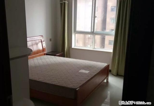 急租 急租 急租 一高旁 一高旁 家具电器齐全 领包 - 房屋出租 - 房屋租售 - 商丘分类信息 - 商丘28生活网 sq.28life.net