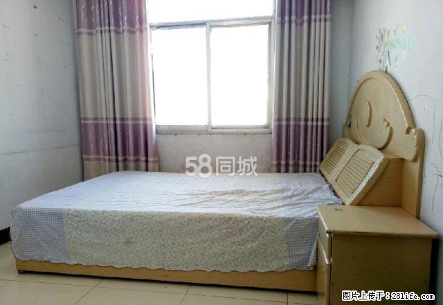 南关医院附近 房屋出租 - 房屋出租 - 房屋租售 - 商丘分类信息 - 商丘28生活网 sq.28life.net