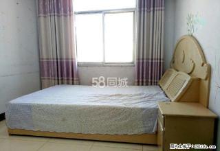 南关医院附近 房屋出租 - 商丘28生活网 sq.28life.net