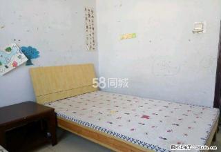 精装修 ，家电齐全，拎包入住 - 商丘28生活网 sq.28life.net