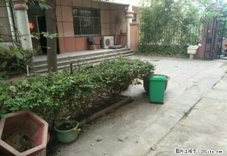 急租长江路旁梦乐园独院400平 办公会所即可 - 商丘28生活网 sq.28life.net