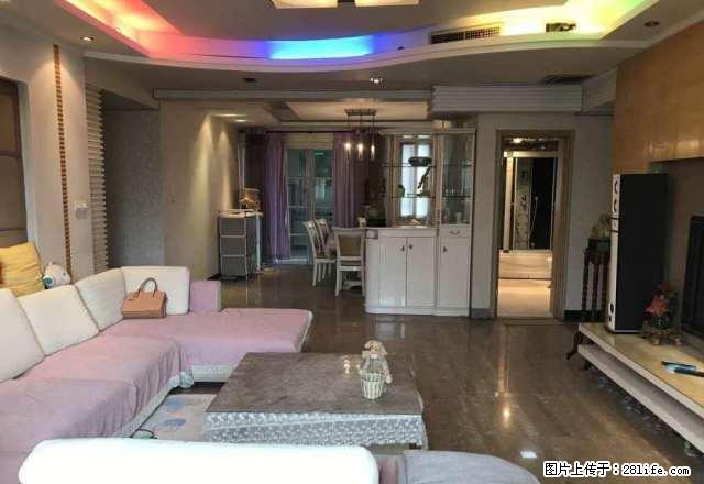 文化路与神火大道交叉口 喜来登 拎包即住 图片真实 - 房屋出租 - 房屋租售 - 商丘分类信息 - 商丘28生活网 sq.28life.net