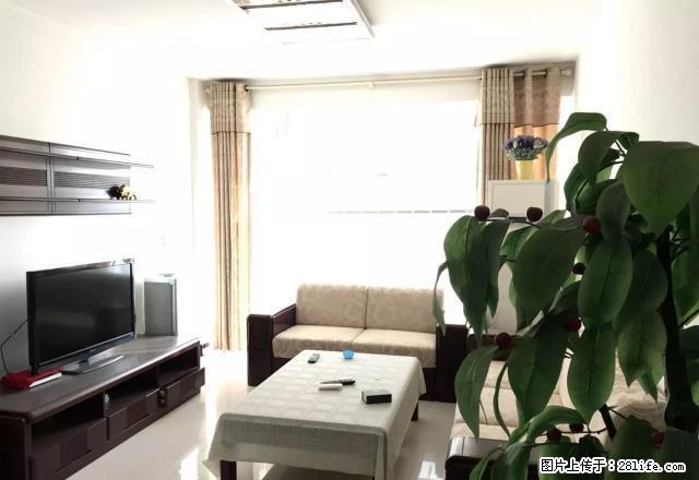 勿看假房新出电梯精装双气三室全新的实木家具家电首次出租 - 房屋出租 - 房屋租售 - 商丘分类信息 - 商丘28生活网 sq.28life.net
