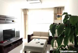勿看假房新出电梯精装双气三室全新的实木家具家电首次出租 - 商丘28生活网 sq.28life.net