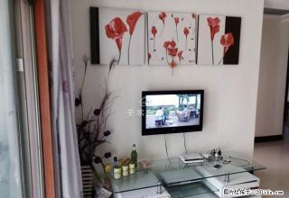 商字附近 帝和B区 黄.金步梯2楼 精装2室 领包即住 - 商丘28生活网 sq.28life.net